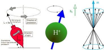 前沿科技 中科院等科学家合作通过理论研究预言新型Kagome晶格量子自旋液体态