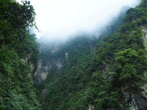 揭秘中国五大名山，雄浑磅礴的天地奇观