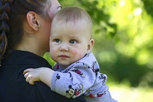 孕妇周周营养宝典，孕期饮食全攻略，妈妈的健康与宝宝的未来